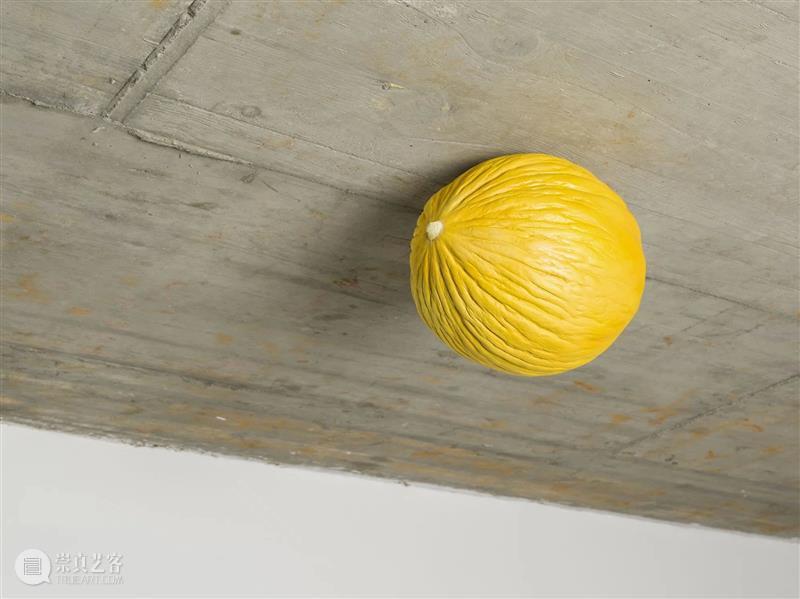 现场|阿丽佳·柯维德与艾格尼丝·马丁双人展|佩斯洛杉矶 博文精选 Pace Gallery 崇真艺客